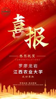 说明: 罗廖龙岩